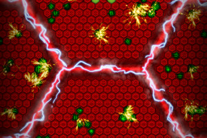 震惊！羽毛球官方公告发布严厉处罚，公平竞赛不容玷污！